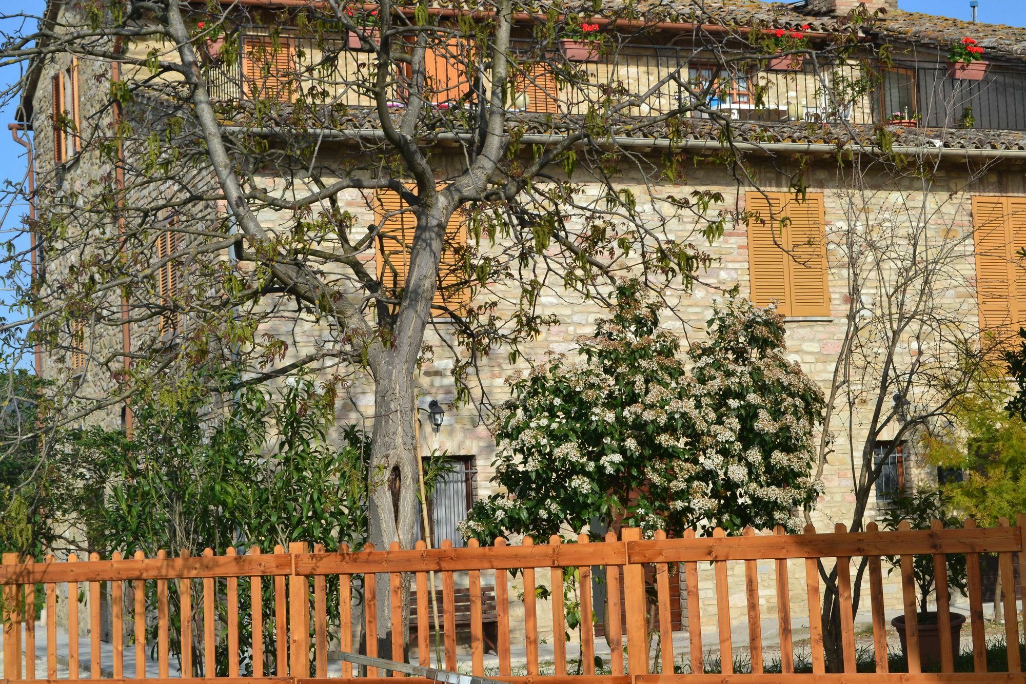 Camere I Monelli Assis Exterior foto